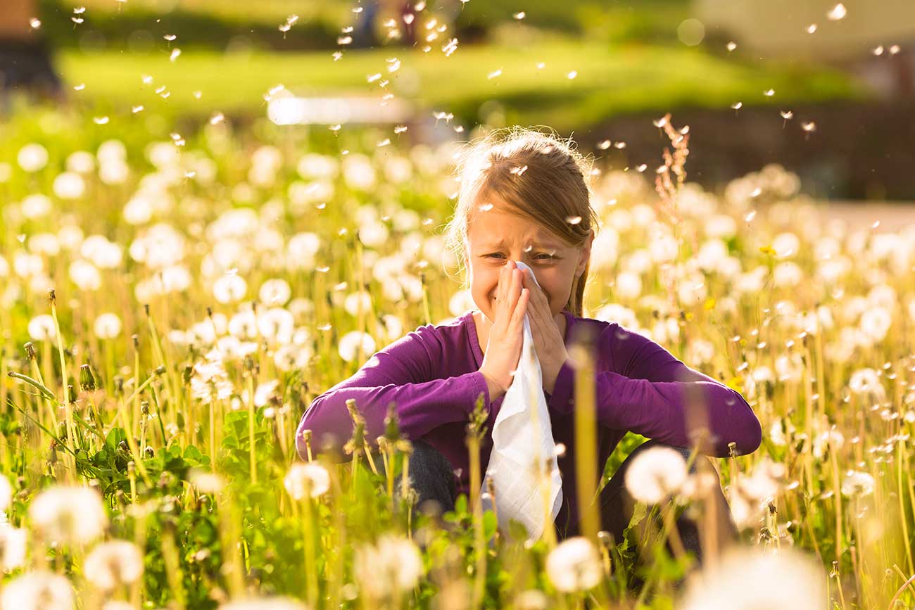 Das-Haus-vor-Pollen-schuetzen