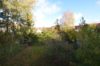 Geräumige und helle 2-Zimmerwohnung mit Balkon im beliebten Tweel-Viertel. - Blick in den Garten