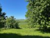 Stimmungsvolles Bauernhaus mit Blick auf großzügige Weideflächen - Keine Käuferprovision! - Blick in die Natur