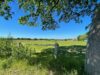 Stimmungsvolles Bauernhaus mit Blick auf großzügige Weideflächen - Keine Käuferprovision! - Umliegende Umgebung