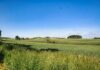 Stimmungsvolles Bauernhaus mit Blick auf großzügige Weideflächen - Keine Käuferprovision! - Landschaft